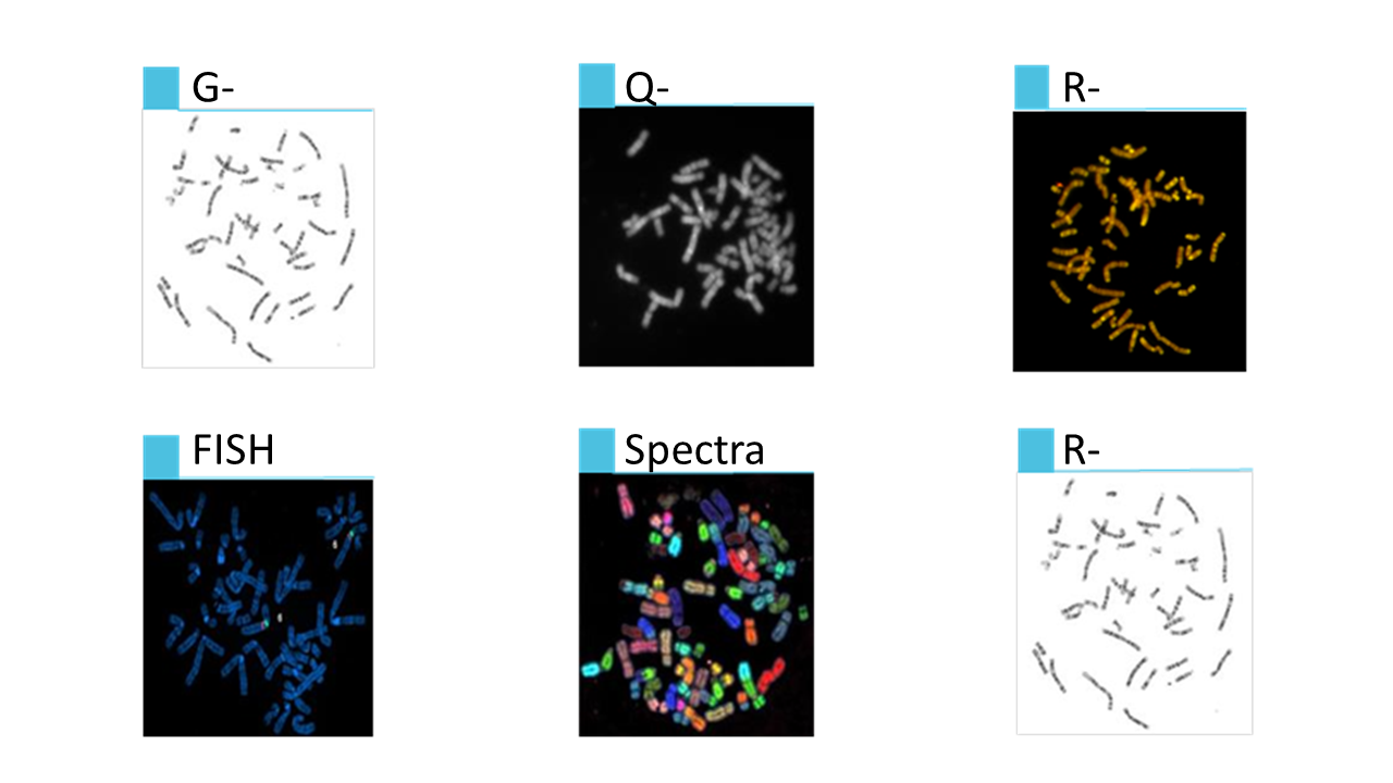 CytoPower