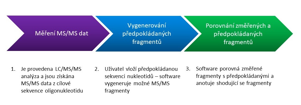 Obrázek 6. Analytický postup pro konfirmaci sekvence v MassHunter BioConfirm 12.0