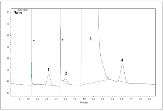 Chromatogram směsi permanentních plynů