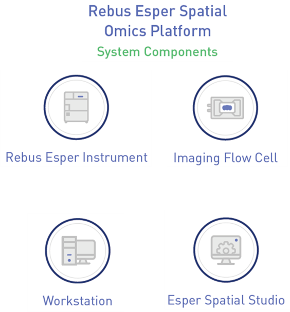 System components