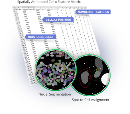 CellxFeature matrix