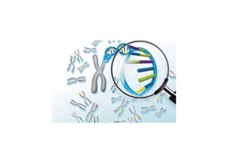 SureSelect Focused Exome 