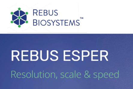 rebus esper