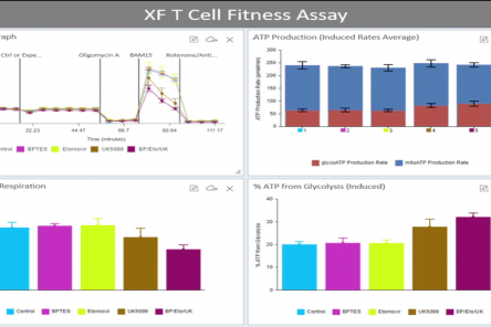 Fitness assay