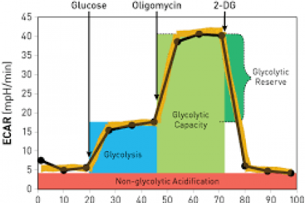 Seahorse XF Glycolysis Stress Test Kit