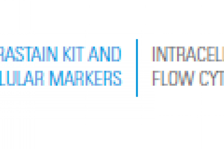 IntraStain Kit