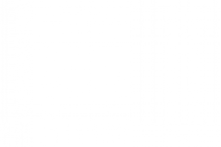 Porcine Detection Kit