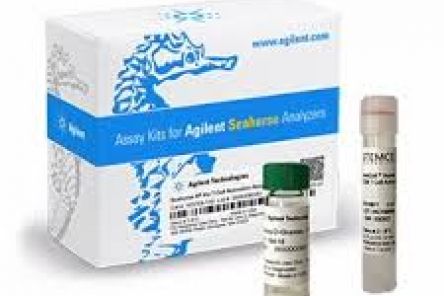 Seahorse XF Hu T Cell Activation Assay Kit