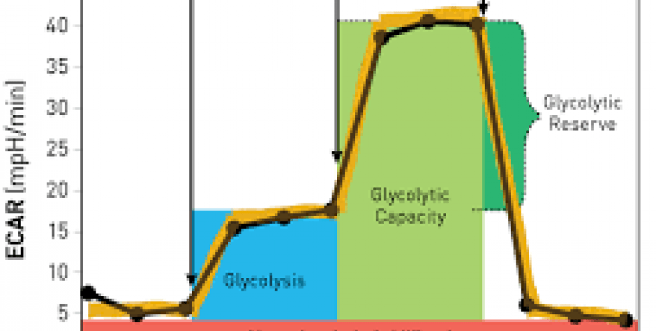 Seahorse XF Glycolysis Stress Test Kit