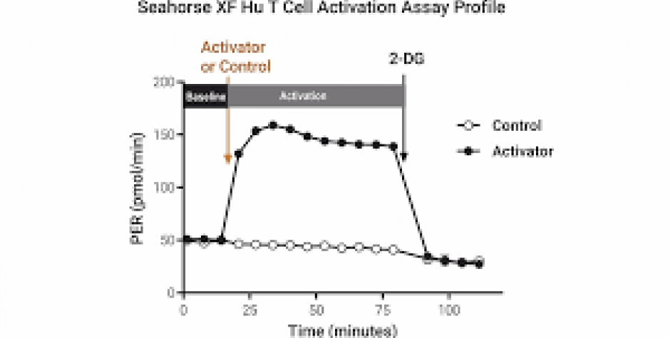 Seahorse XF Hu T Cell Activation Assay Kit